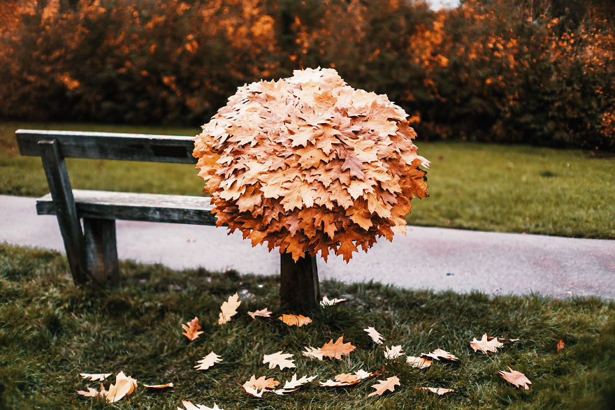 I Photograph How Autumn Looks Around The World