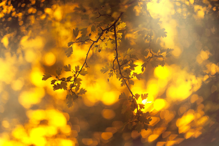 I Photograph How Autumn Looks Around The World