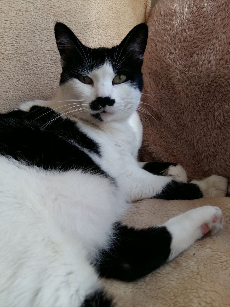 Rescue Animals Are The Best! Share Photos Of The Lives You Have Saved