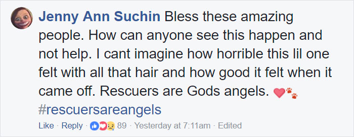 Dog Groomer Opens Shop In Middle Of Night To Give Stray Dog Haircut, Finds Real Beauty Beneath Matted Fur Dog Groomer Opens Shop In Middle Of Night To Give Stray Dog Haircut, Finds Real Beauty Beneath Matted Fur