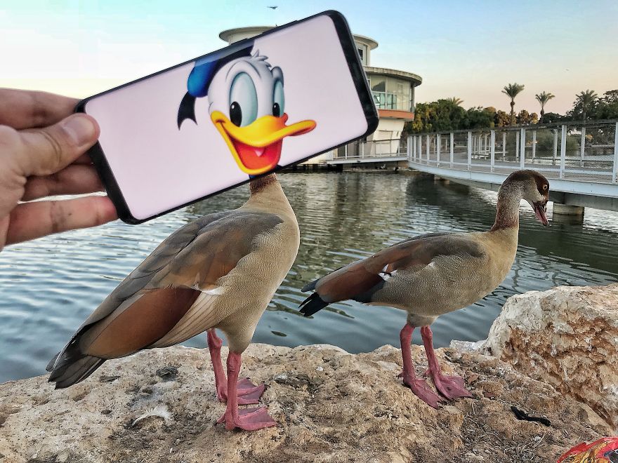 Bringing Everyday Objects To Life With My Smartphone (Part 7) Bringing Everyday Objects To Life With My Smartphone (Part 7)