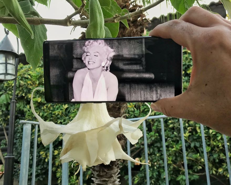 Bringing Everyday Objects To Life With My Smartphone (Part 7) Bringing Everyday Objects To Life With My Smartphone (Part 7)