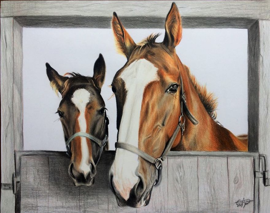 Estonian Artist Captures Personalities Of Horses With Her Realistic Hand-Drawn Art