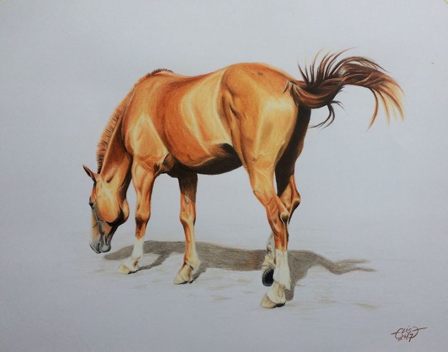 Estonian Artist Captures Personalities Of Horses With Her Realistic Hand-Drawn Art