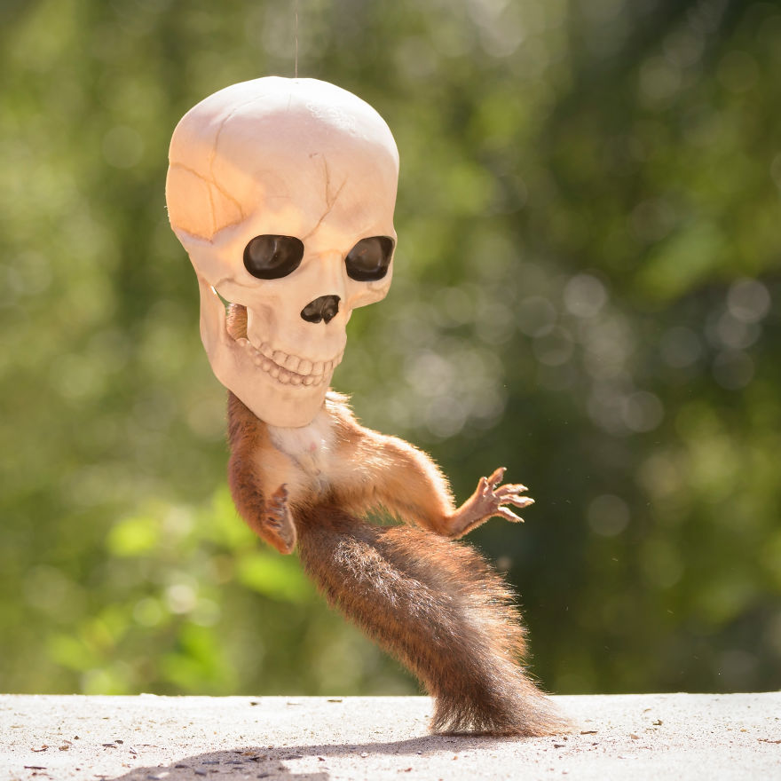 Here&#8217;s How Squirrels Celebrate Halloween