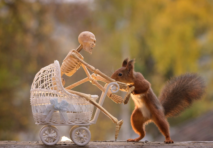 Here&#8217;s How Squirrels Celebrate Halloween