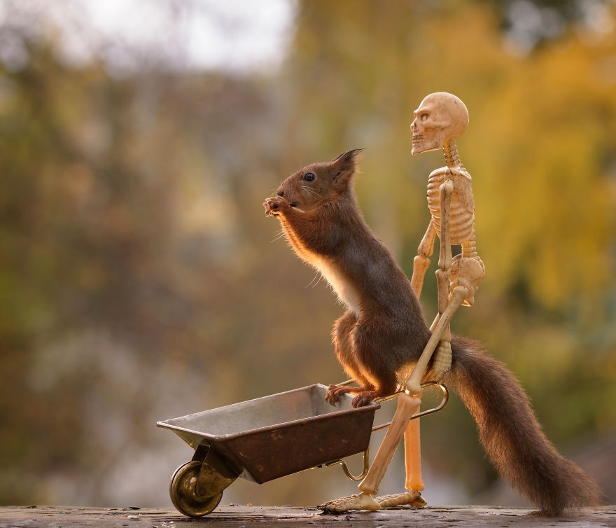 Here&#8217;s How Squirrels Celebrate Halloween