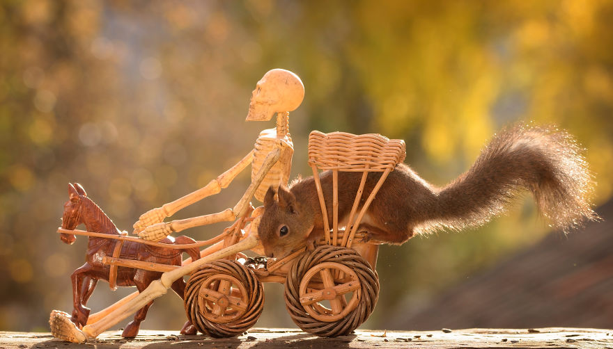 Here&#8217;s How Squirrels Celebrate Halloween