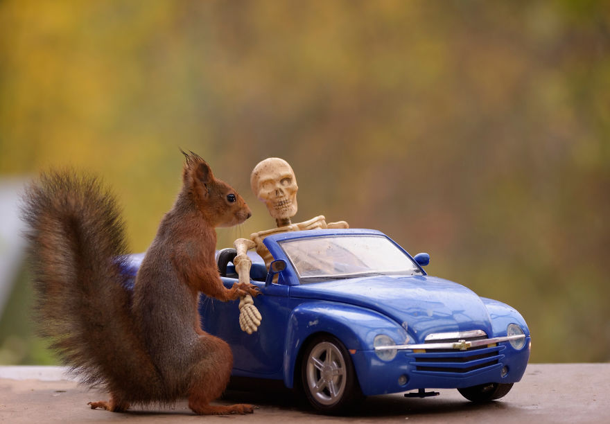 Here&#8217;s How Squirrels Celebrate Halloween