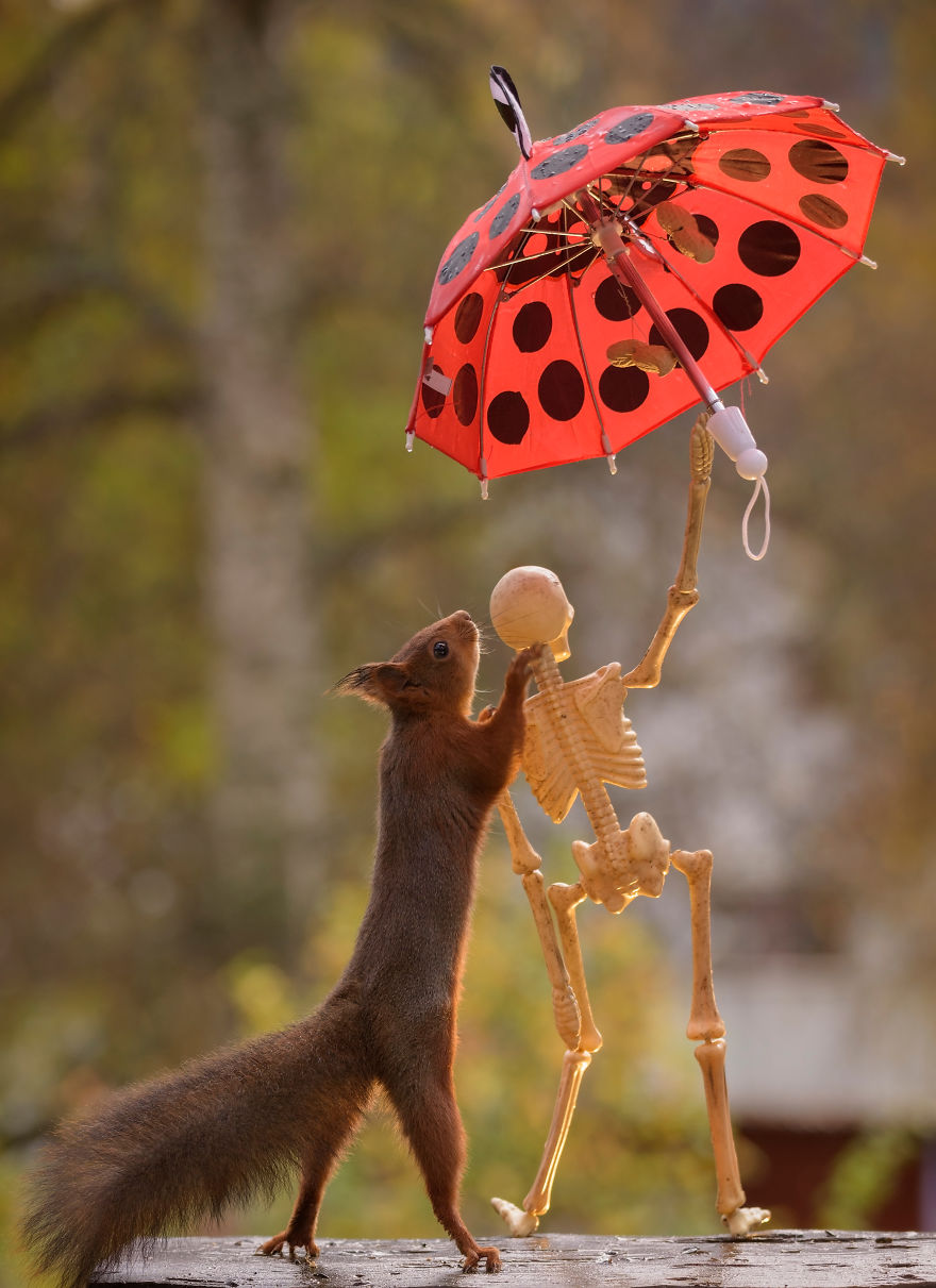 Here&#8217;s How Squirrels Celebrate Halloween