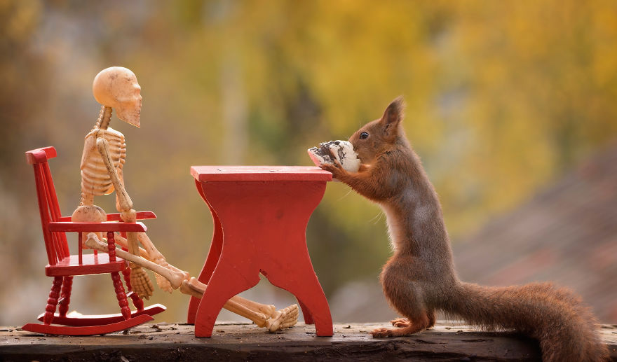 Here&#8217;s How Squirrels Celebrate Halloween