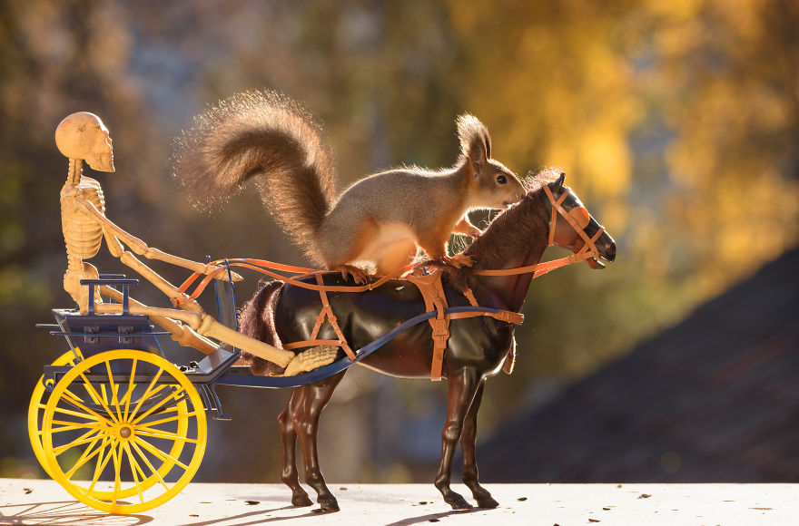 Here&#8217;s How Squirrels Celebrate Halloween