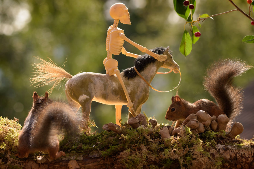 Here&#8217;s How Squirrels Celebrate Halloween