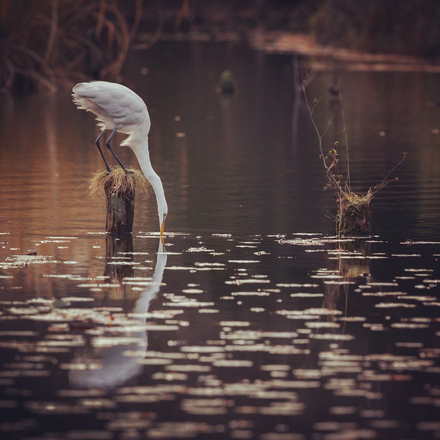 I Capture The Simple Beauty Of Nature In Japan I Capture The Simple Beauty Of Nature In Japan