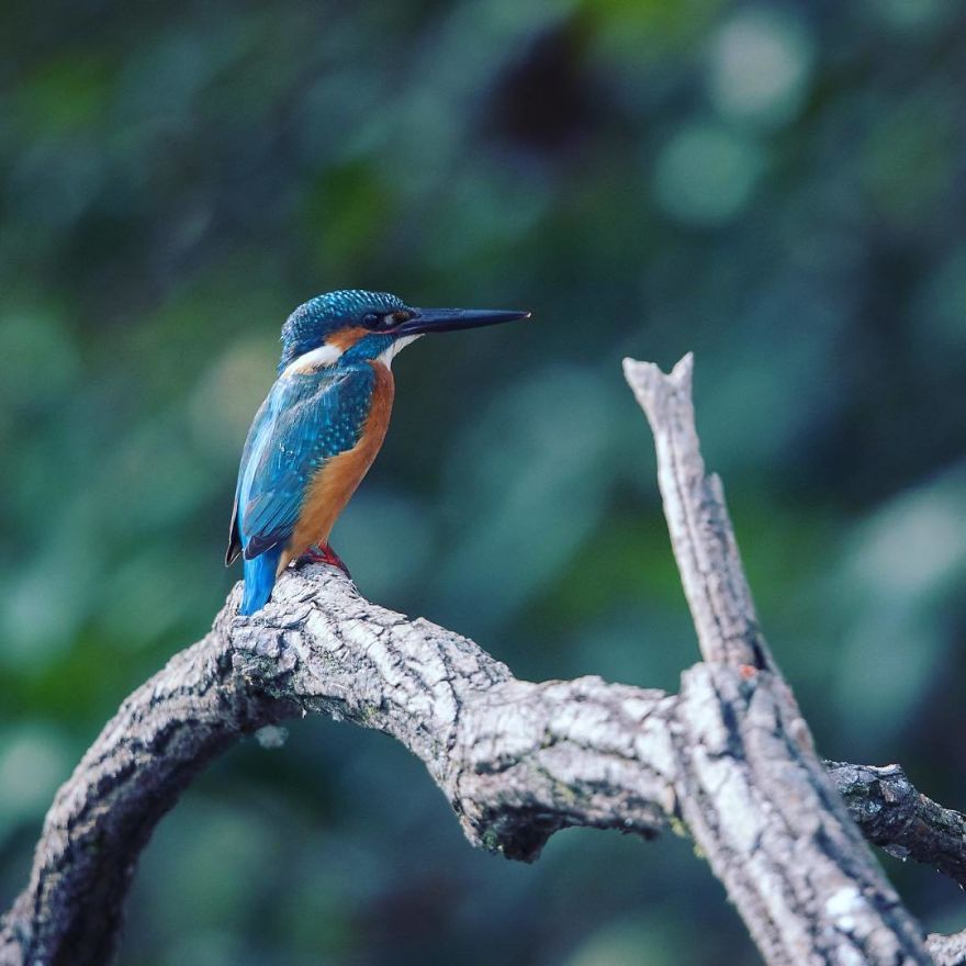 I Capture The Simple Beauty Of Nature In Japan I Capture The Simple Beauty Of Nature In Japan