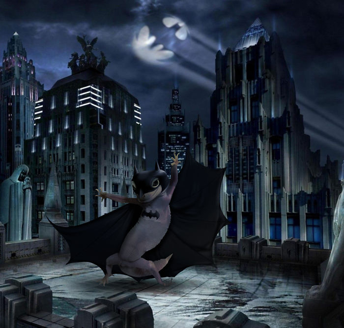 Ridiculously Photogenic Gecko Inspires Photoshop Battle, And It&#8217;s Hilarious (Add Yours!)