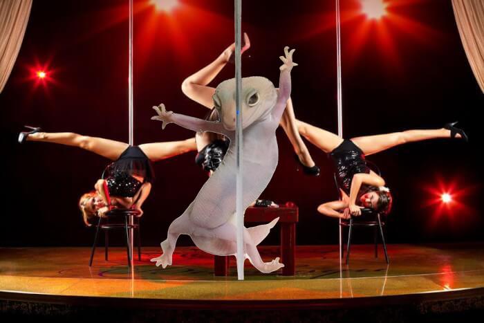 Ridiculously Photogenic Gecko Inspires Photoshop Battle, And It&#8217;s Hilarious (Add Yours!)