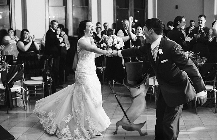 Ridiculously Photogenic Gecko Inspires Photoshop Battle, And It&#8217;s Hilarious (Add Yours!)