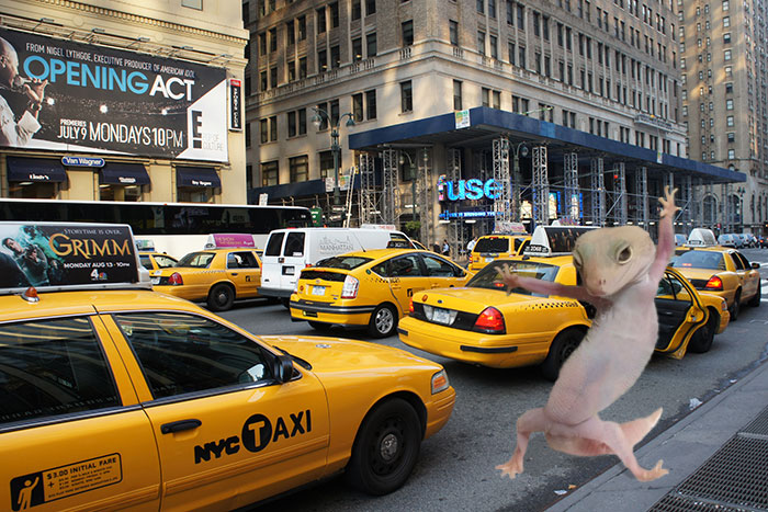 Ridiculously Photogenic Gecko Inspires Photoshop Battle, And It&#8217;s Hilarious (Add Yours!)