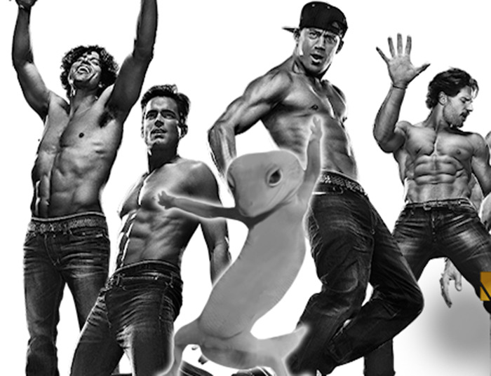 Ridiculously Photogenic Gecko Inspires Photoshop Battle, And It&#8217;s Hilarious (Add Yours!)