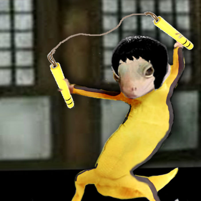 Ridiculously Photogenic Gecko Inspires Photoshop Battle, And It&#8217;s Hilarious (Add Yours!)