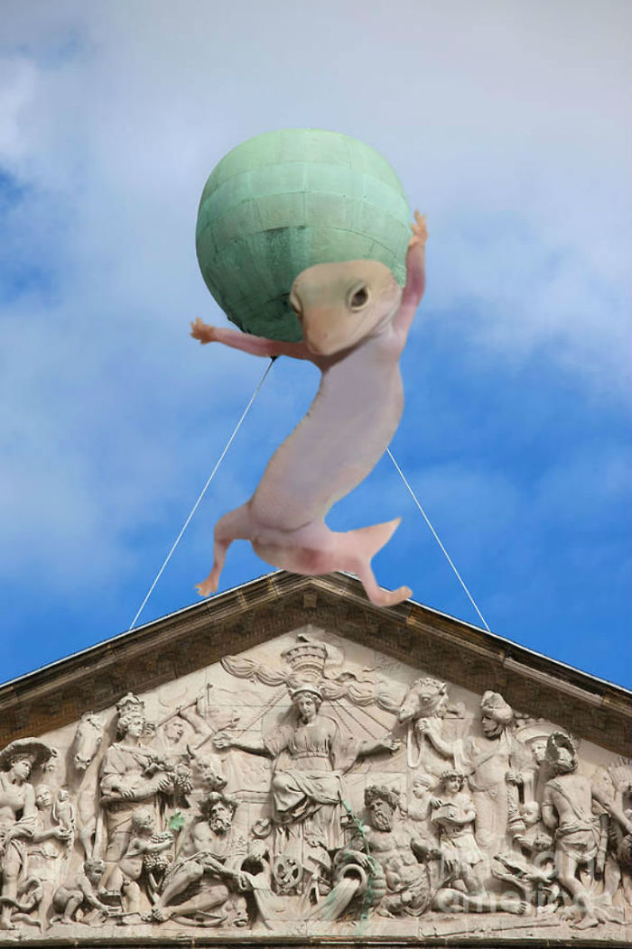 Ridiculously Photogenic Gecko Inspires Photoshop Battle, And It&#8217;s Hilarious (Add Yours!)