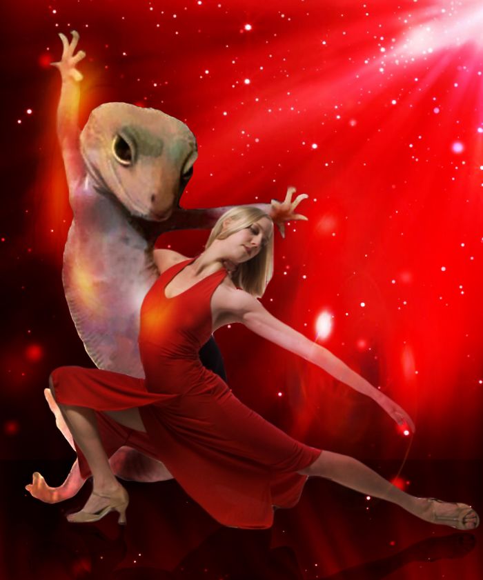 Ridiculously Photogenic Gecko Inspires Photoshop Battle, And It&#8217;s Hilarious (Add Yours!)