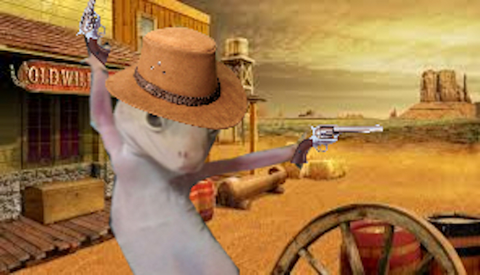 Ridiculously Photogenic Gecko Inspires Photoshop Battle, And It&#8217;s Hilarious (Add Yours!)