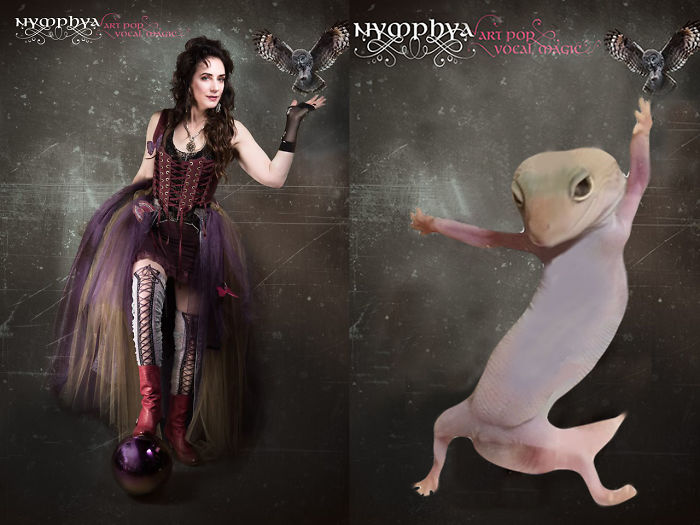 Ridiculously Photogenic Gecko Inspires Photoshop Battle, And It&#8217;s Hilarious (Add Yours!)