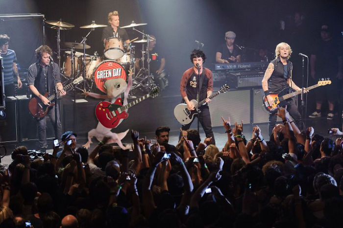 Ridiculously Photogenic Gecko Inspires Photoshop Battle, And It&#8217;s Hilarious (Add Yours!)