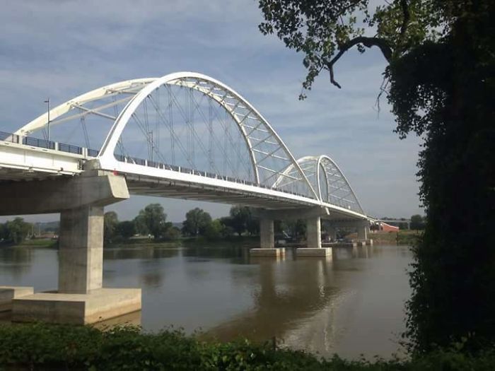 Ridiculously Photogenic Gecko Inspires Photoshop Battle, And It&#8217;s Hilarious (Add Yours!)