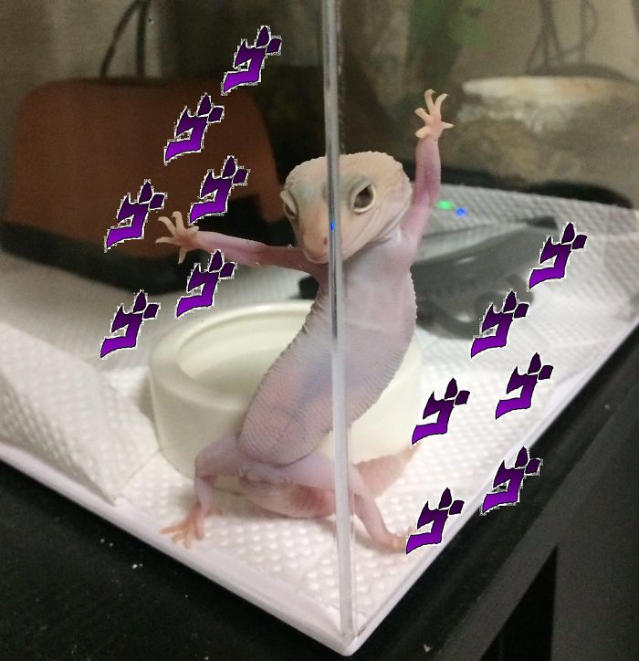 Ridiculously Photogenic Gecko Inspires Photoshop Battle, And It&#8217;s Hilarious (Add Yours!)