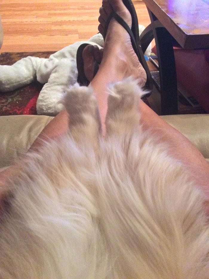 Ambrosia, The Most Beautiful Girl In The World Ambrosia, The Most Beautiful Girl In The World