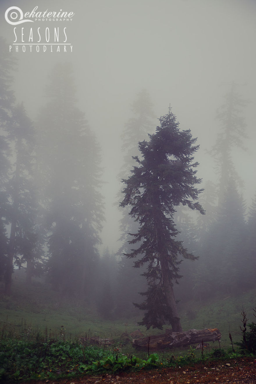 Traveling Above The Clouds Traveling Above The Clouds