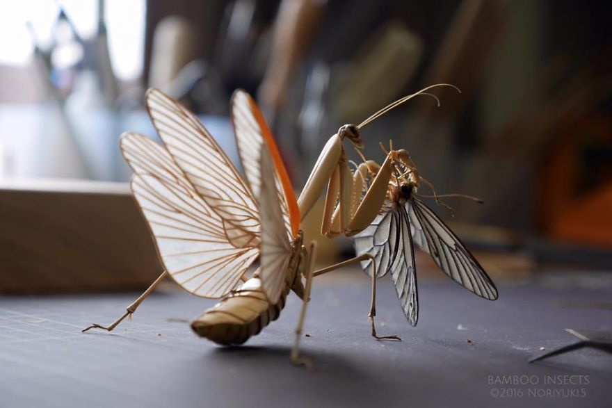 Japanese Artist Creates Incredibly Intricate Life-Size Insects From Bamboo, And The Result Will Impress You