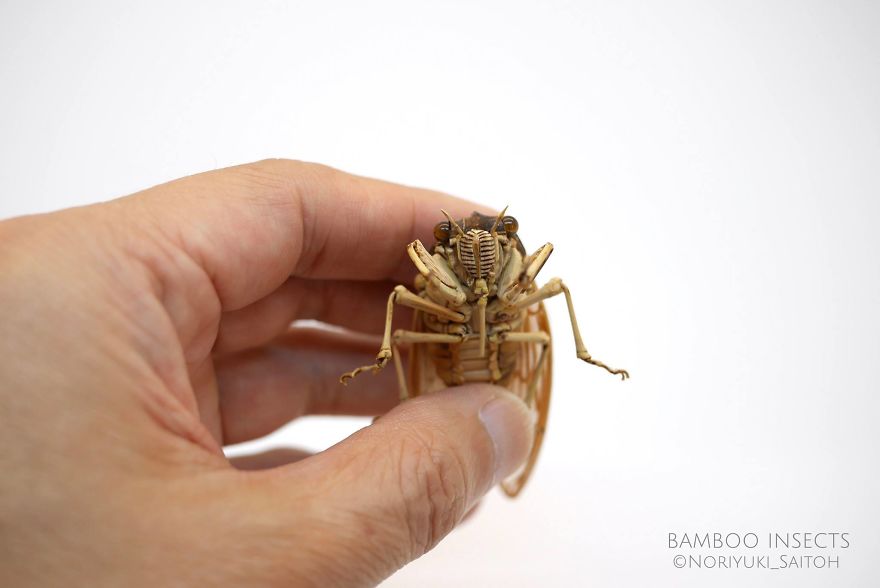 Japanese Artist Creates Incredibly Intricate Life-Size Insects From Bamboo, And The Result Will Impress You
