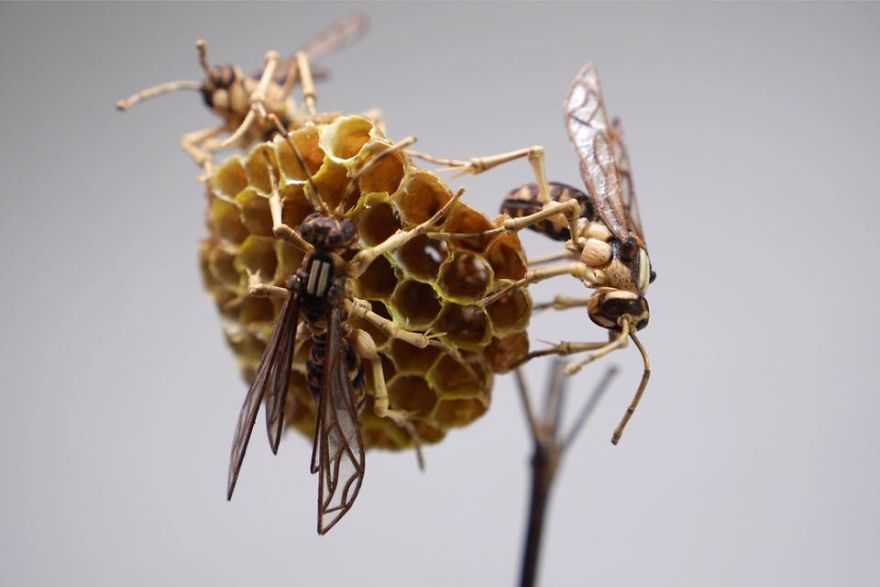 Japanese Artist Creates Incredibly Intricate Life-Size Insects From Bamboo, And The Result Will Impress You