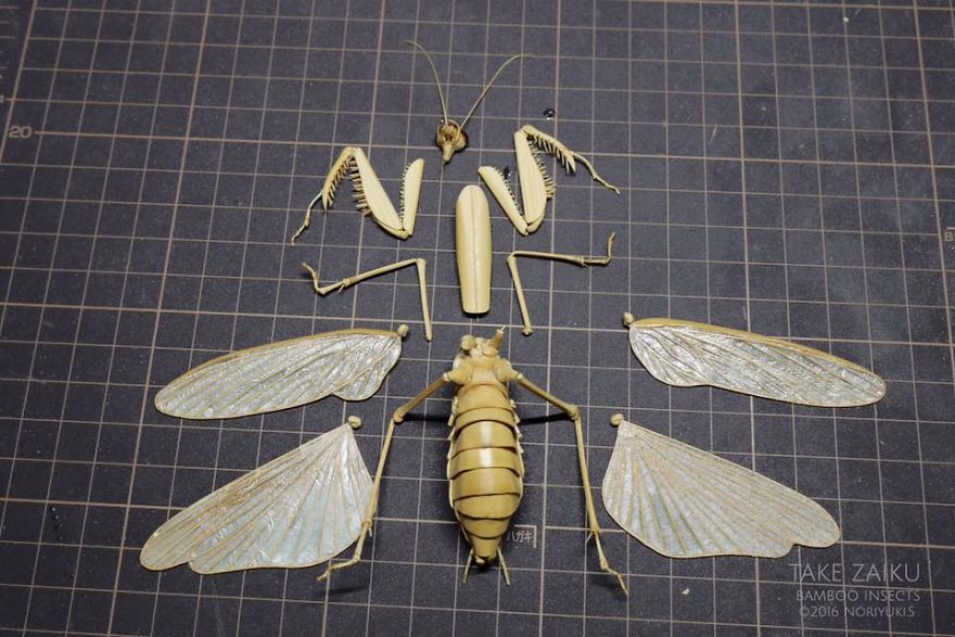 Japanese Artist Creates Incredibly Intricate Life-Size Insects From Bamboo, And The Result Will Impress You