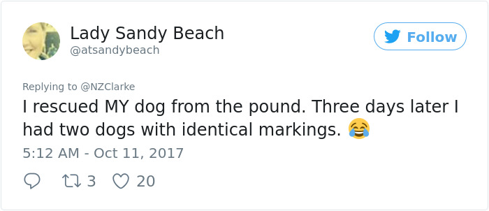 Man Accidentally Kidnaps Neighbour’s Cat Thinking It Was His, And It Escalates Hilariously Man Accidentally Kidnaps Neighbour’s Cat Thinking It Was His, And It Escalates Hilariously