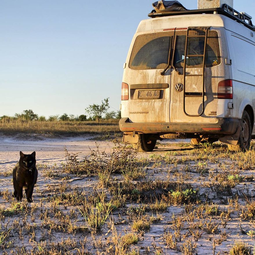 2,5 Years Ago, I Quit My Job And Sold Everything To Travel With My Cat Willow In A Campervan 2,5 Years Ago, I Quit My Job And Sold Everything To Travel With My Cat Willow In A Campervan