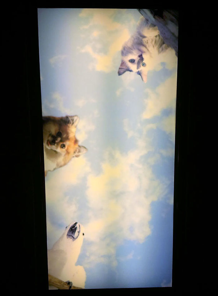 65 Dentists With An Awesome Sense Of Humor 65 Dentists With An Awesome Sense Of Humor