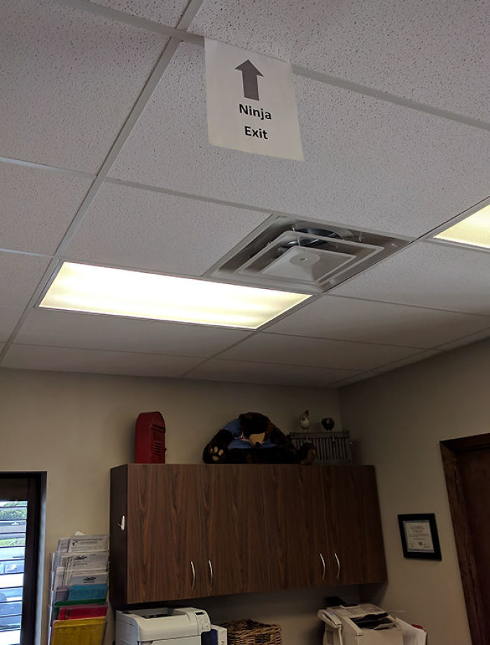 65 Dentists With An Awesome Sense Of Humor 65 Dentists With An Awesome Sense Of Humor