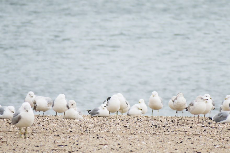 The Winter Melancholy Of A Summer Hotspot The Winter Melancholy Of A Summer Hotspot