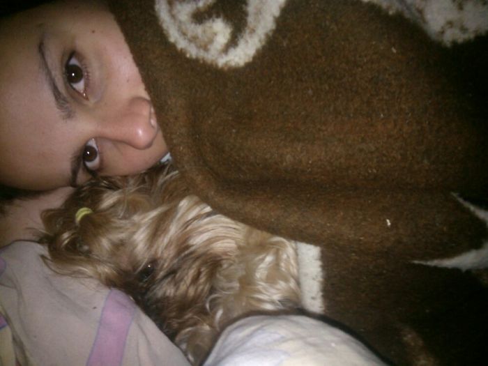 Share Photos Of Your Dogs Acting Like Humans Share Photos Of Your Dogs Acting Like Humans