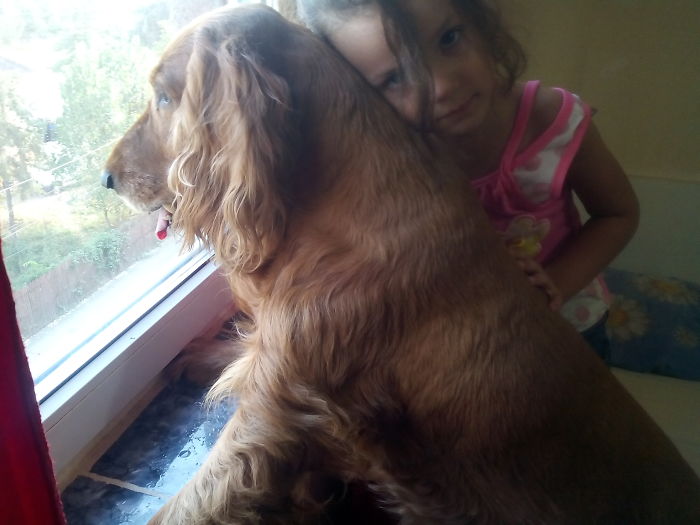 Share Photos Of Your Dogs Acting Like Humans Share Photos Of Your Dogs Acting Like Humans