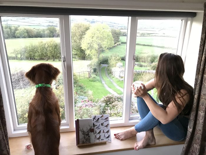 Share Photos Of Your Dogs Acting Like Humans Share Photos Of Your Dogs Acting Like Humans