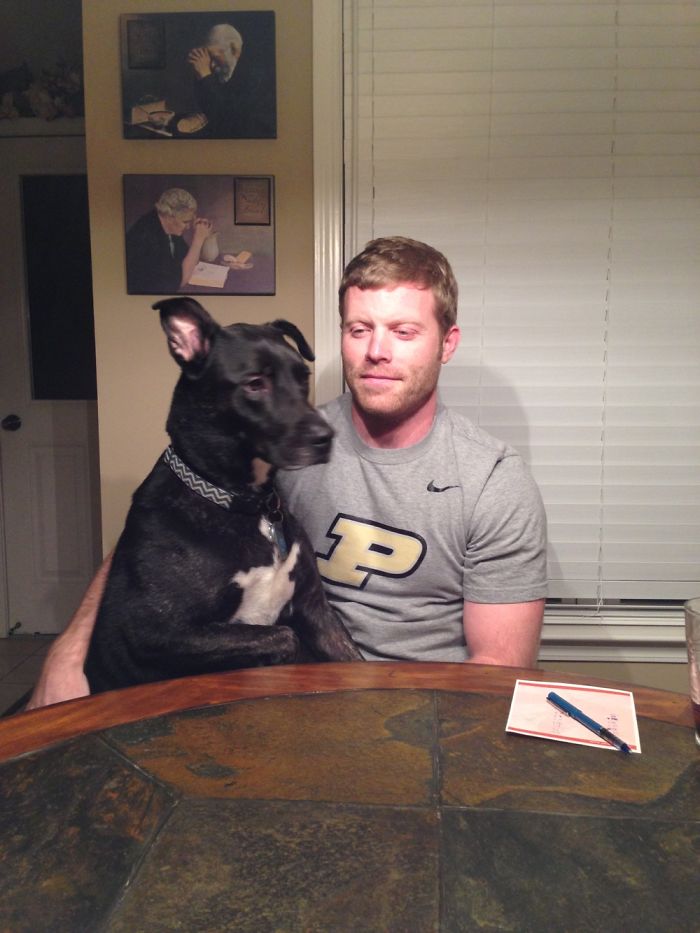 Share Photos Of Your Dogs Acting Like Humans Share Photos Of Your Dogs Acting Like Humans