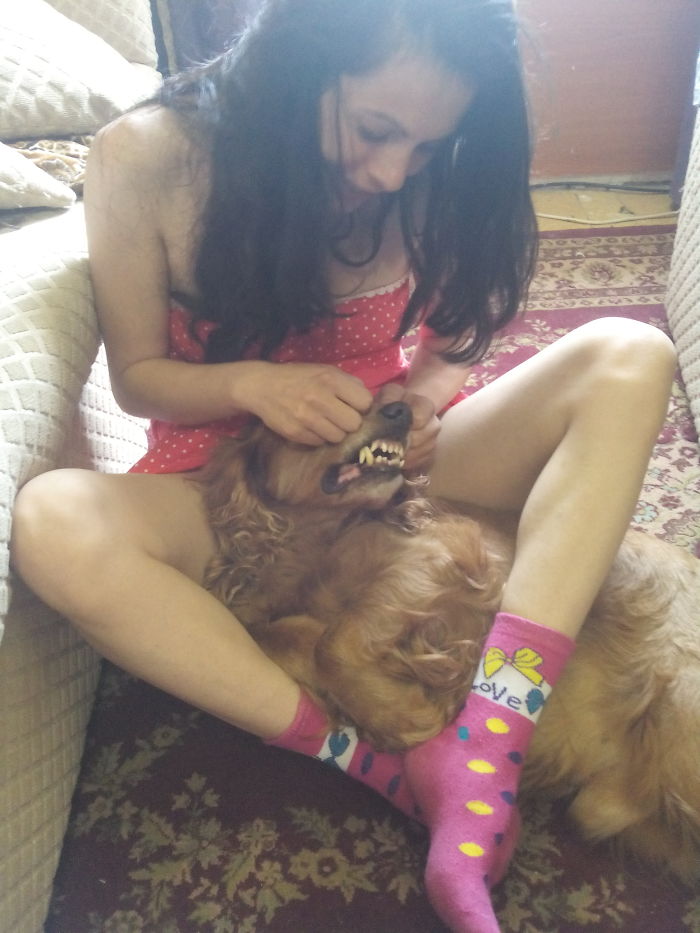 Share Photos Of Your Dogs Acting Like Humans Share Photos Of Your Dogs Acting Like Humans