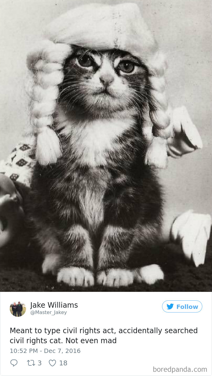 120 Times People Accidentally Googled The Wrong Thing, And The Results Were Hilarious 120 Times People Accidentally Googled The Wrong Thing, And The Results Were Hilarious