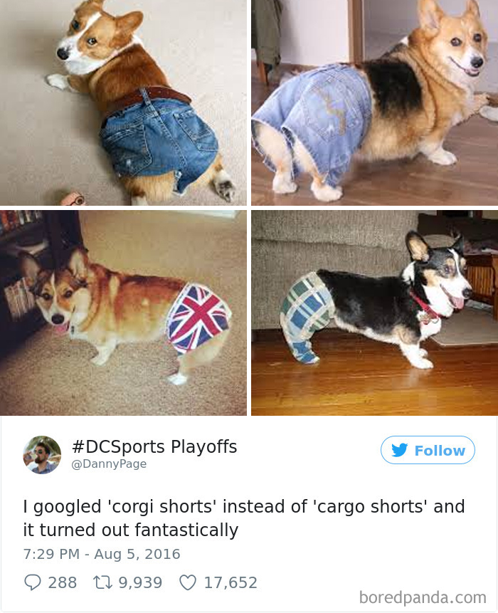 120 Times People Accidentally Googled The Wrong Thing, And The Results Were Hilarious 120 Times People Accidentally Googled The Wrong Thing, And The Results Were Hilarious